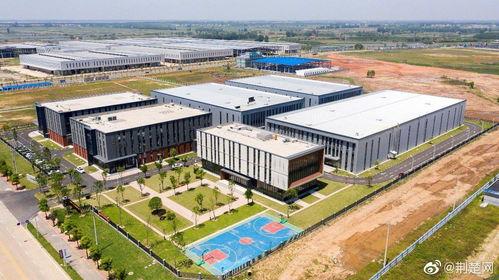 嘉鱼新闻爆料最新消息,重大事件引发社会关注！  第1张